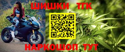 спиды Моздок