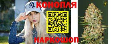 спиды Моздок