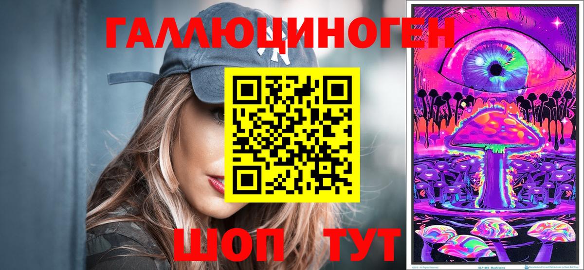 Галлюциногенные грибы Psilocybe Дальнегорск