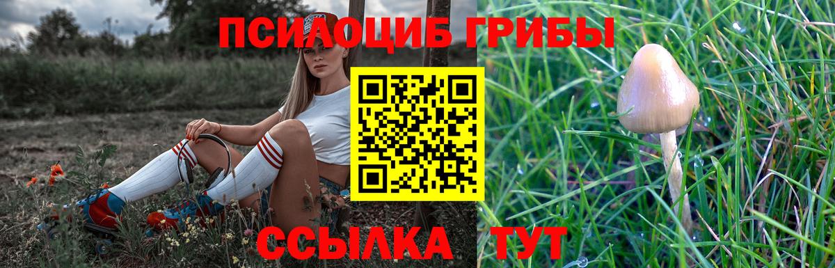 Дальнегорск  Галлюциногенные грибы GOLDEN TEACHER  магазин    Вход с VPN 